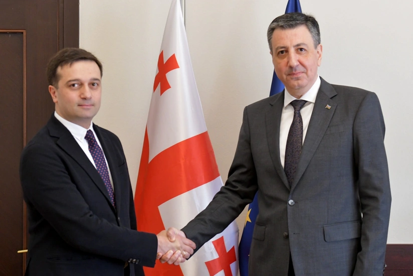 Вице-спикер Грузии: Отношения с Азербайджаном должны быть выведены на более высокий уровень