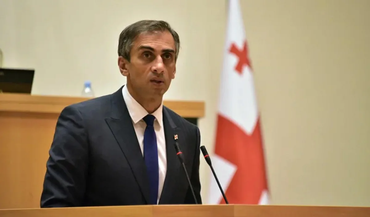 Giorgi Kaxiani: “Prezidentin impiçmenti Aİ-yə gedən yolda maneə olmayacaq”