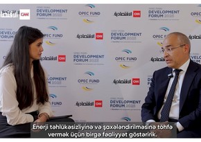 Azerbaijan and UAE plan to strengthen cooperation in third countries