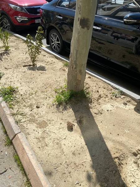 Yasamalda hərbi sursat aşkarlanıb