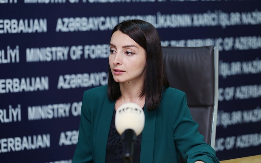 Leyla Abdullayeva: Ermənistanı regionda yaranmış reallıqları qəbul etməyə çağırırıq