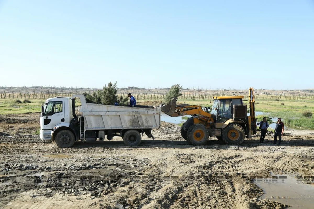 İcra başçısının danlanmasına səbəb olan park abadlaşdırılır