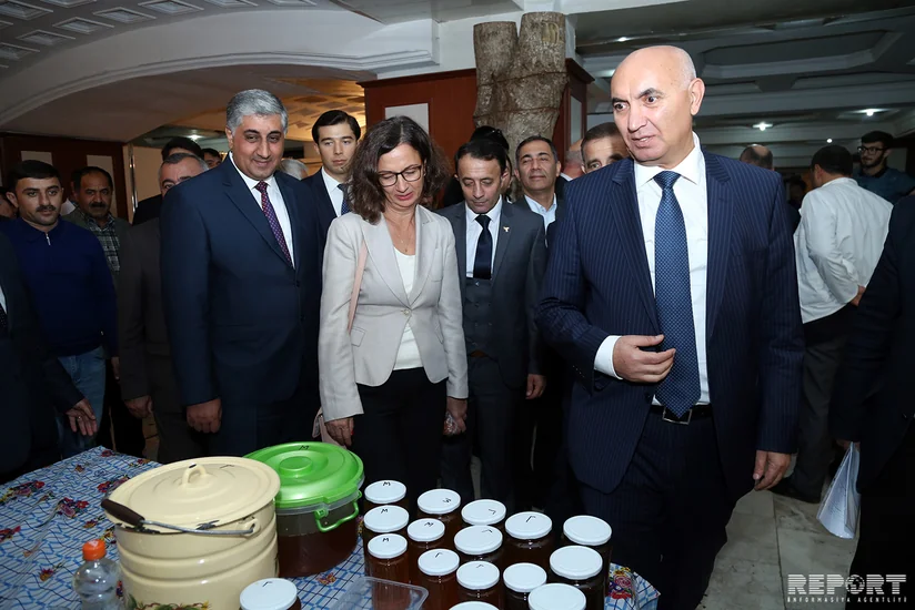 Nazir müavini: Bal yarmarkasına kənardan bal gətirilməsinin qarşısı alınacaq