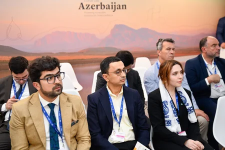 “Azərişıq”: Yaşıl enerji zonasında hər il 102 min ton karbon emissiyasının qarşısı alınacaq”