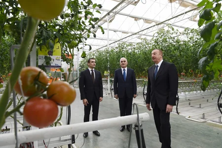 Prezident İlham Əliyev Zirə qəsəbəsində “BAKU AGROPARK”da görülən işlərlə tanış olub