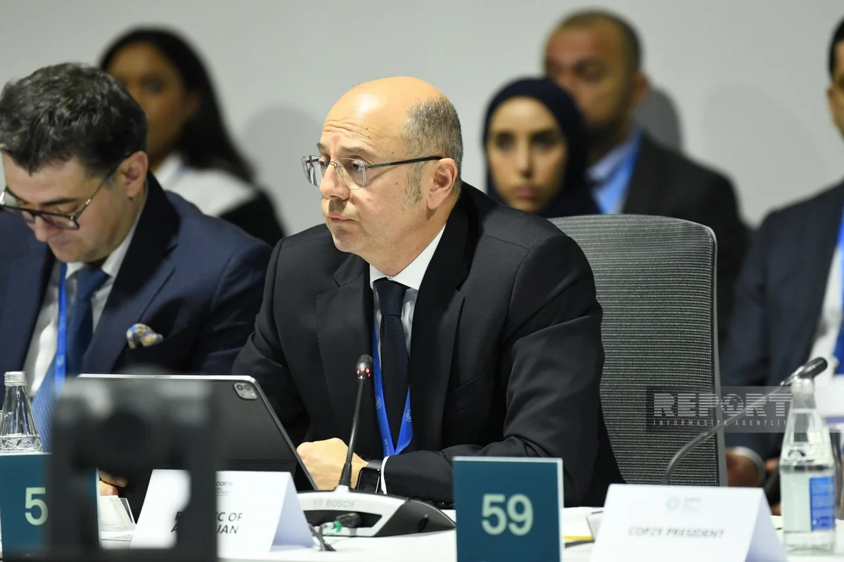 Minister: Renewable energy corridors reflect Azerbaijan's commitment to global development