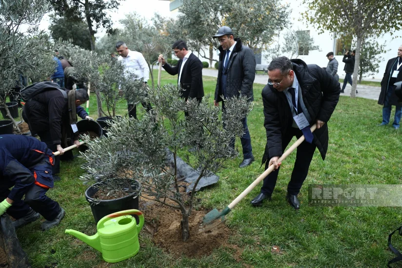 Qərbi Azərbaycana qayıdış üzrə beynəlxalq konfransın iştirakçıları Zirədəki Ekoparkda ağaclar əkiblər