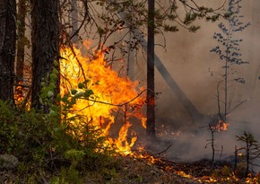 Wildfire breaks out in Türkiye's Canakkale