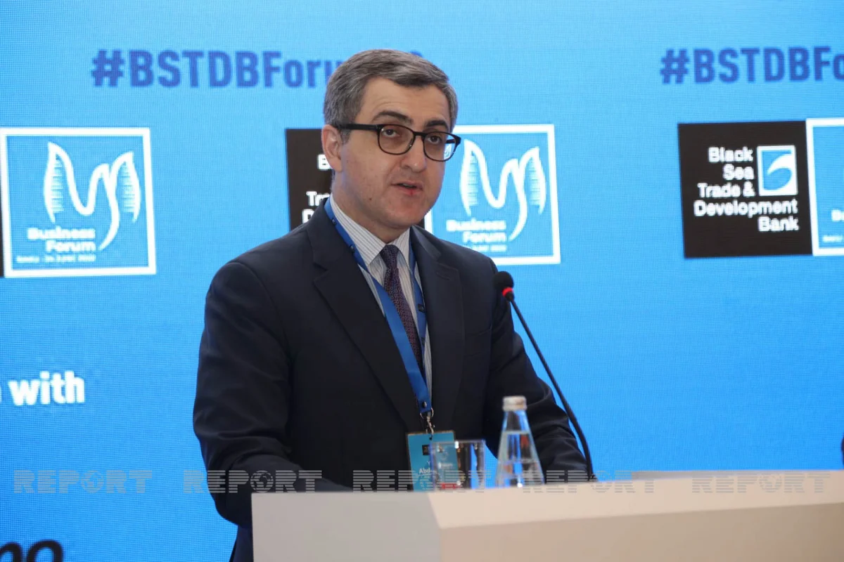 Yusif Abdullayev: İnvestorlar Azərbaycanda müxtəlif təşəbbüslərdən faydalana bilərlər