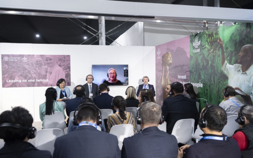 Panel discussion on transition in agri-food system held at COP29