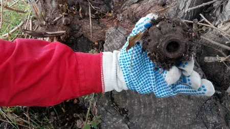 Şəmkirdə əl qumbarası tapılıb