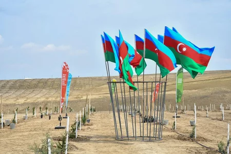 ANAMA Heydər Əliyevin 100 illik yubileyi ilə əlaqədar ağacəkmə aksiyası keçirib