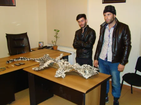 ​IDEA adı Qırmızı Kitaba düşən bəbirin öldürülməsi ilə bağlı bəyanat yayıb