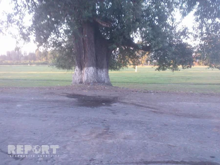 Qaxda ağır yol qəzası: ölən və yaralanan var - FOTO - ƏLAVƏ OLUNUB