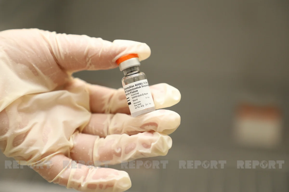 Azərbaycanda peyvənd olunanların sayı açıqlanıb