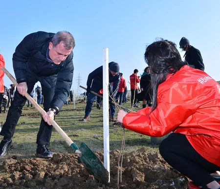 Təhsil Nazirliyi ağacəkmə aksiyası keçirib