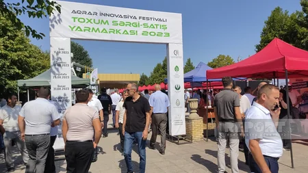 Şəkidə Aqrar İnnovasiya Festivalı və toxum yarmarkası keçirilib
