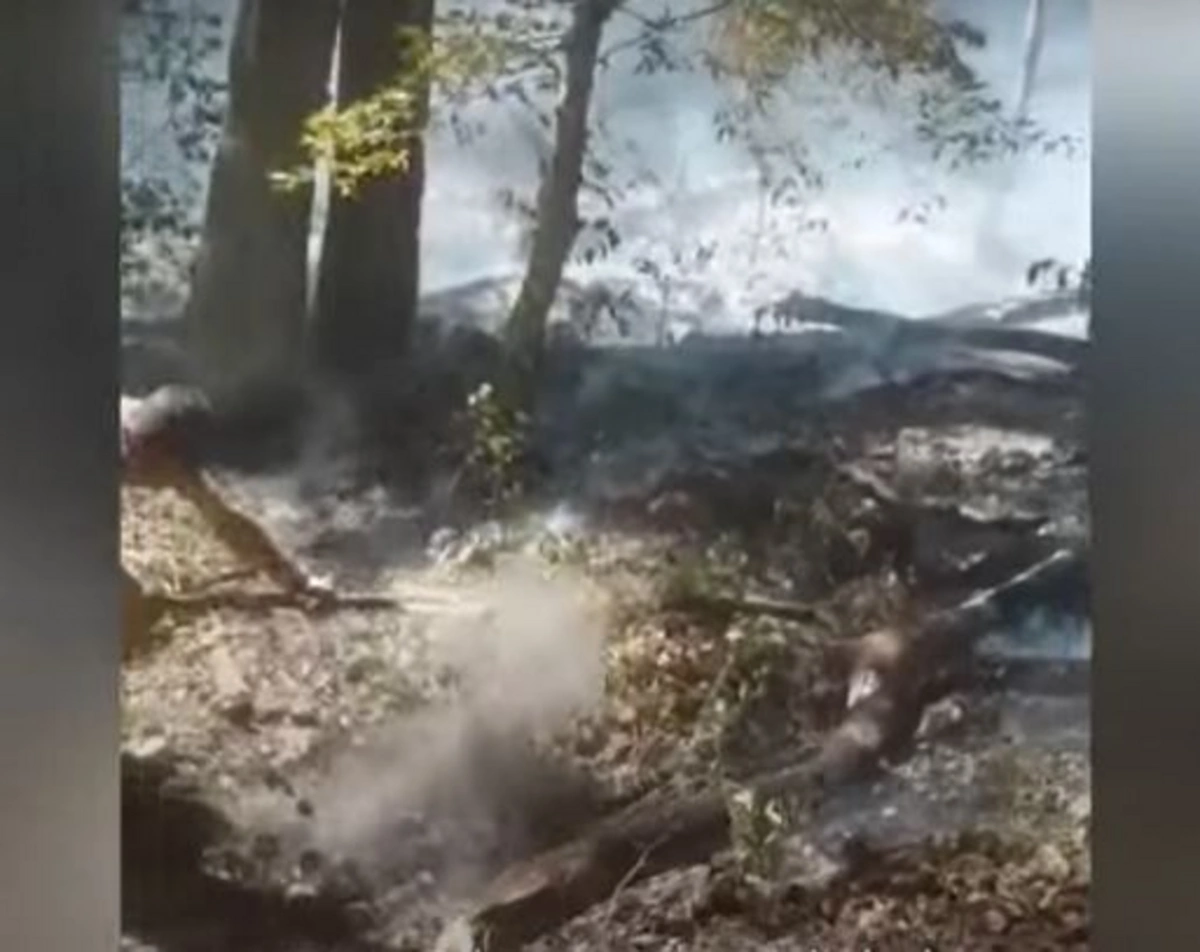 Fire breaks out in mountainous area in Oghuz