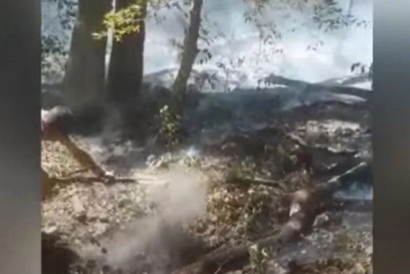 Fire breaks out in mountainous area in Oghuz