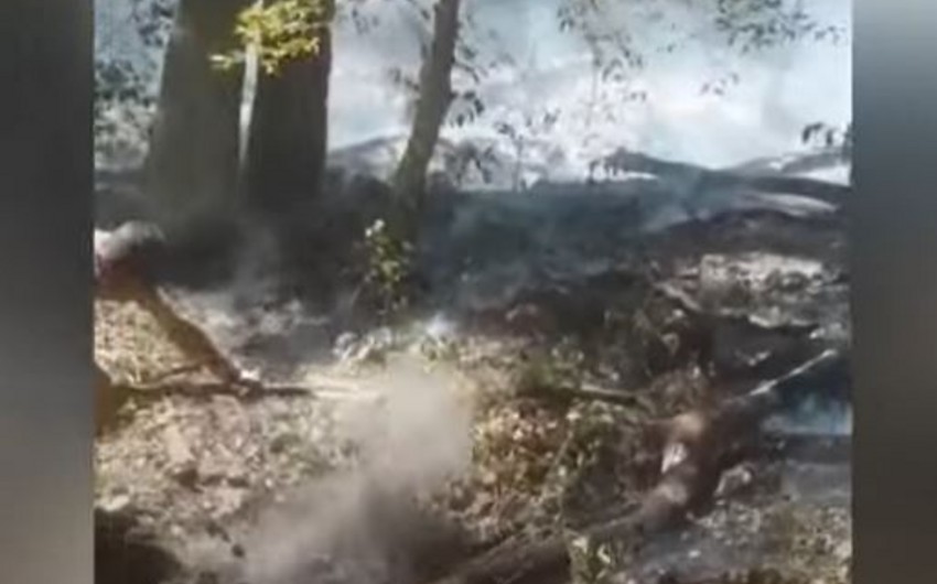 Fire breaks out in mountainous area in Oghuz