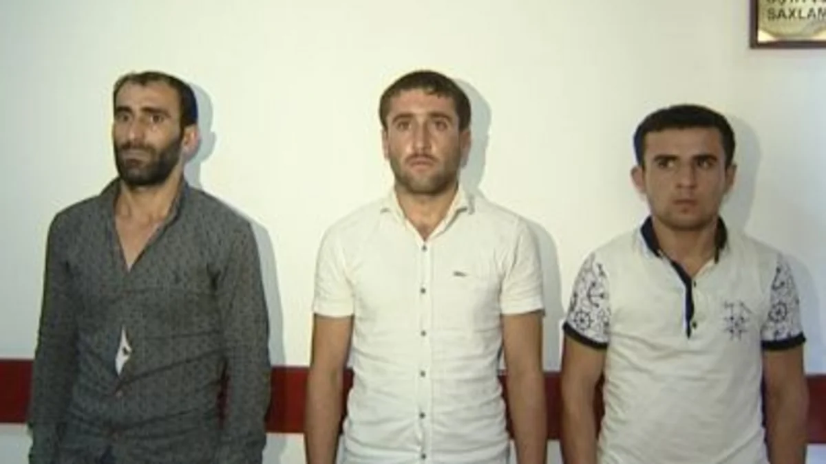 ​Bakıda qadının evinə maskalı silahla basqın edən şəxslər apellyasiya şikayəti verib