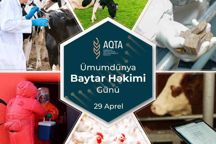 29 aprel - Beynəlxalq Baytar Həkimi Günüdür