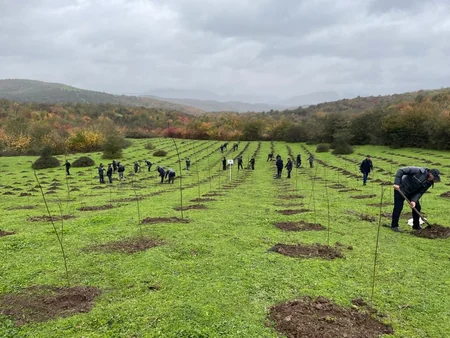 Azərbaycan Türkiyənin aksiyasına qoşulub