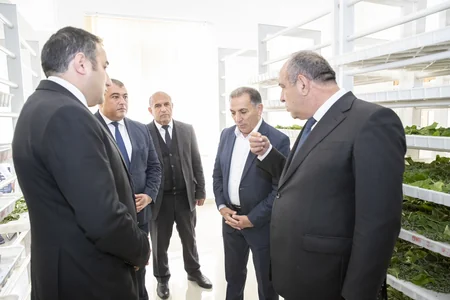 Azərbaycanda kümçülərə ipəkqurdu toxumunun paylanılması başa çatıb
