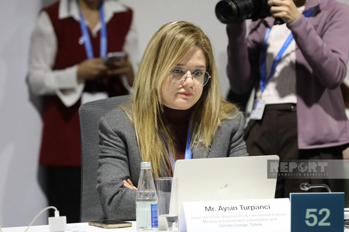 Türkiye deems children's participation in national climate adaptation plans essential