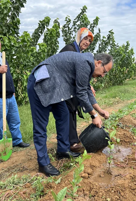 Türkiyə səfiri Lənkəranda çay tingləri əkib
