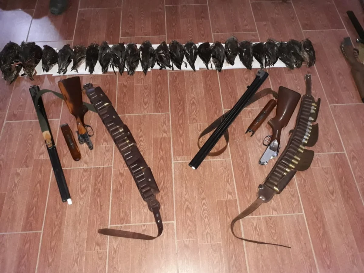 Masallıda qanunsuz ov edənlər saxlanıldı