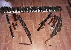 Masallıda qanunsuz ov edənlər saxlanıldı