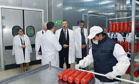 Prezident Abşeron rayonunda “Zəhmət-Ruzi” MMC-nin fəaliyyəti ilə tanış olub