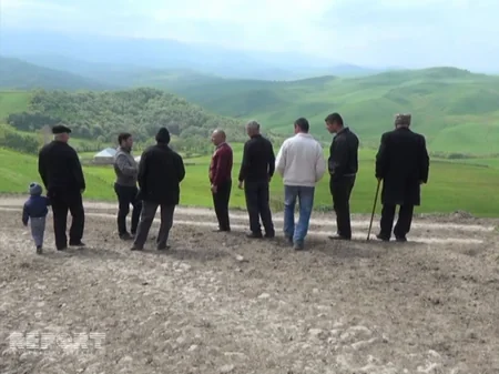​Cəlilabadda 50 başdan çox at oğurlanıb - FOTO