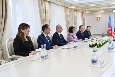 Sahibə Qafarova: Bir sıra təşkilatlarda islamofobiya, azərbaycanofobiya hökm sürür