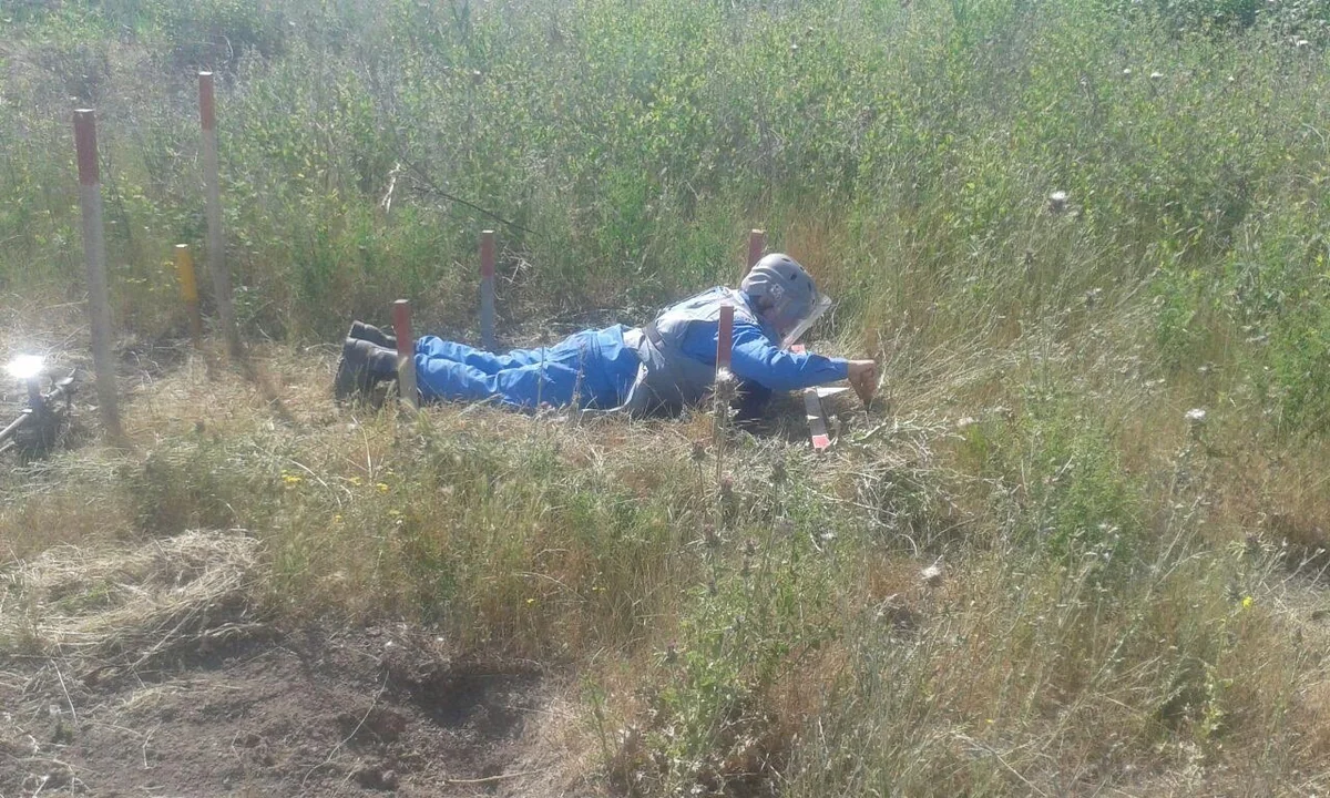 Cocuq Mərcanlıda 1343 ədəd qəlpə aşkarlanıb