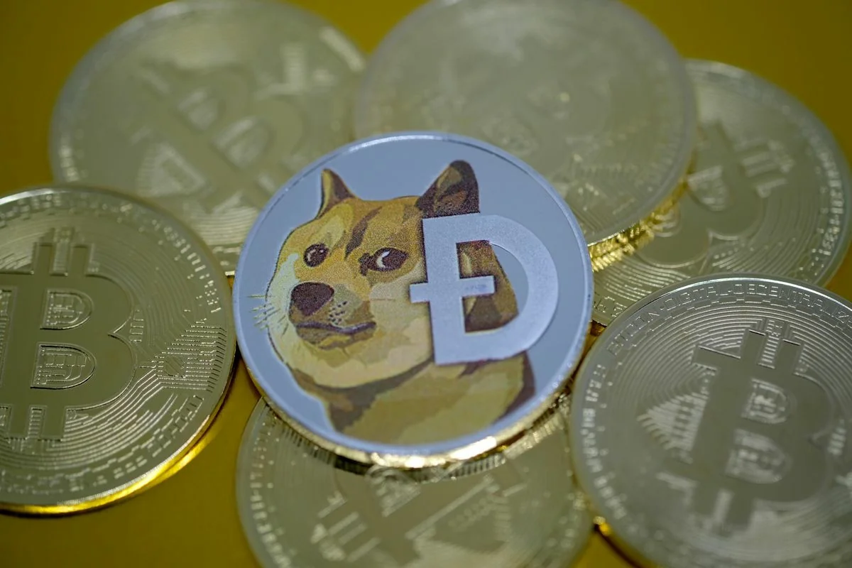 “Dogecoin” bir günə 9 dəfə bahalaşıb