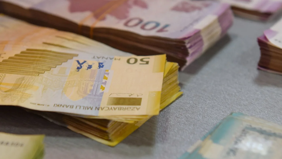 В Нахчыване в прошлом году на госзакупках сэкономлено 16% бюджетных средств