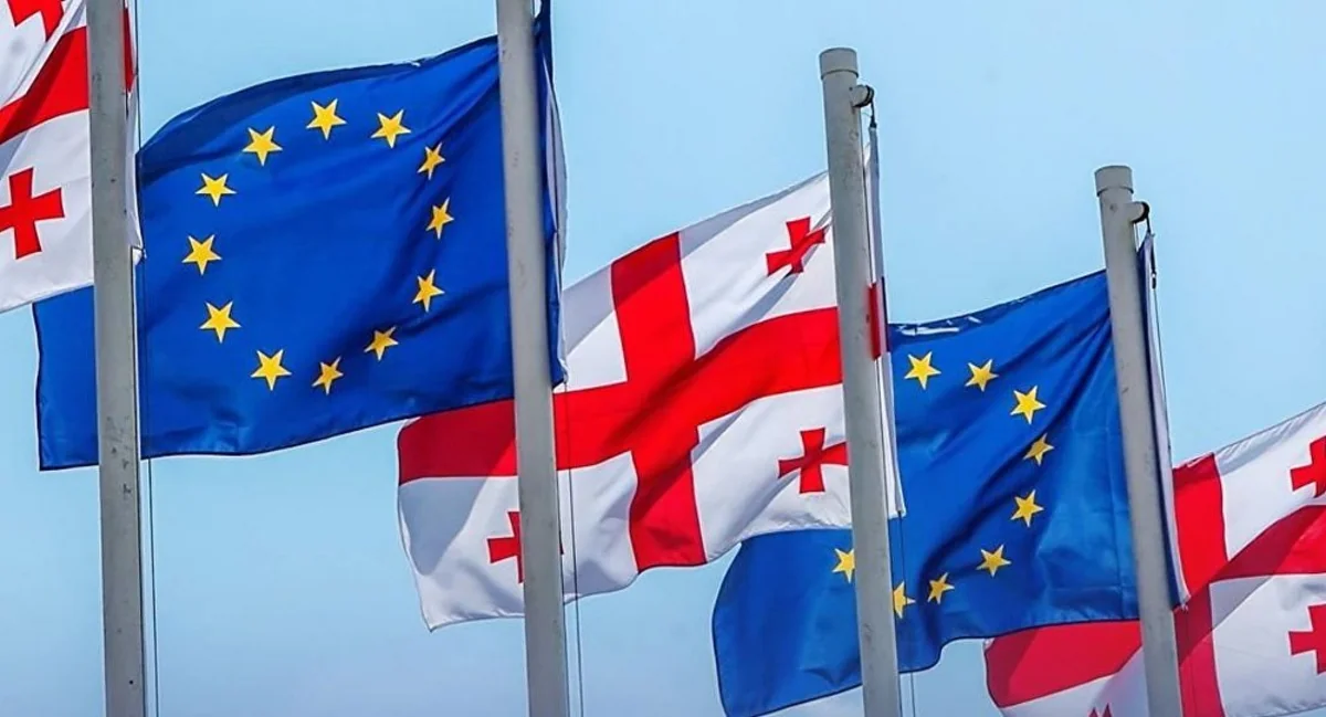 Спикер парламента Грузии и гендиректор ЕК обсудили сотрудничество страны с ЕС