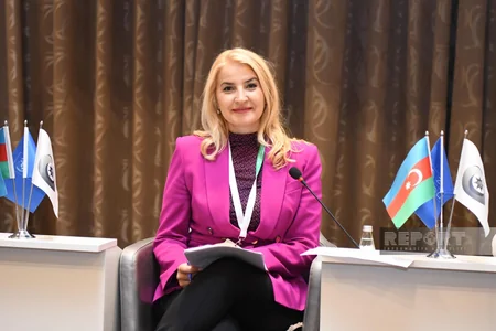 International Baku Forum of Ombudsmen mull climate change and human rights