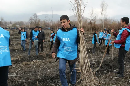 IDEA-nın dəstəyi ilə Qəbələdə 7000 ədəd akasiya ağacı əkilib