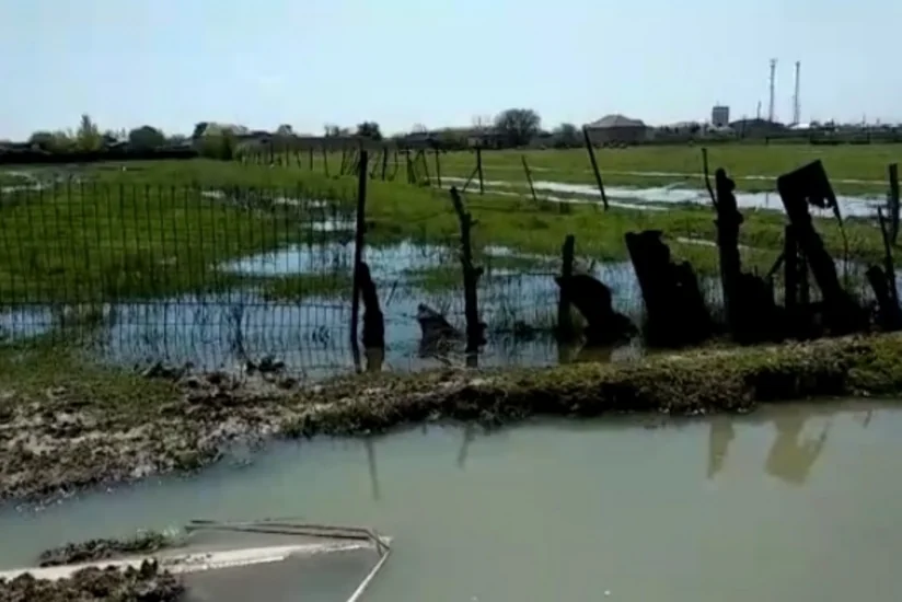 Biləsuvarın Səmədabad kəndində evləri və həyətləri su basıb 
