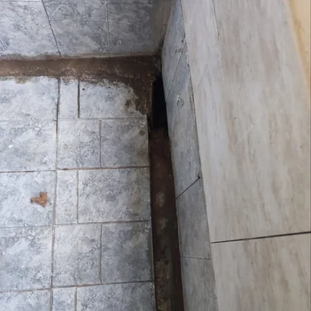 Bərdədə süd istehsalı müəssisəsinin fəaliyyəti məhdudlaşdırılıb