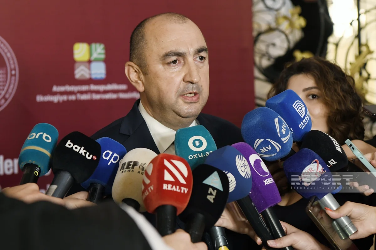 Vüqar Kərimov: Qırmızı Kitab”lardakı növlərin mühafizə altına alınması üçün təkliflər var