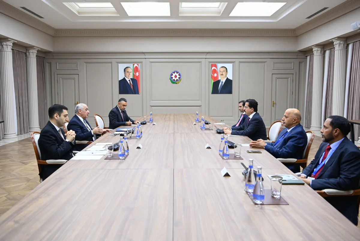 Azərbaycanla Ümumdünya Yaşıl İqtisadiyyat Təşkilatı arasında əməkdaşlıq məsələləri müzakirə olunub