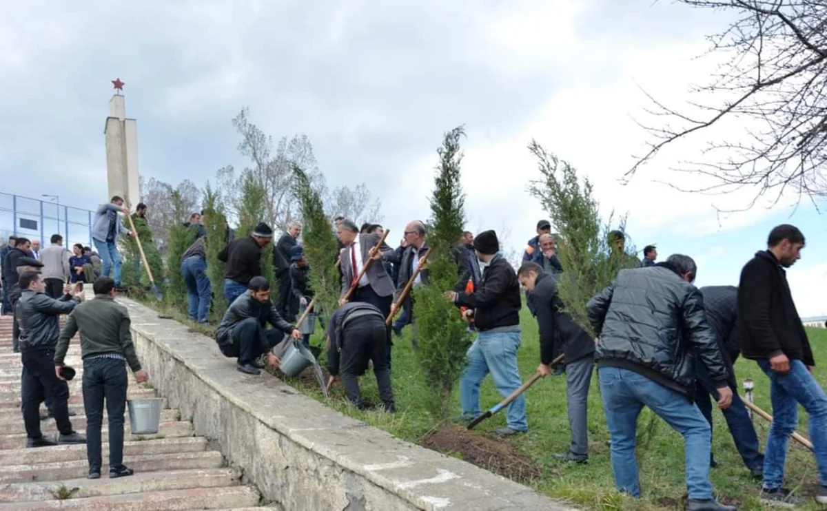 Daşkəsəndə Heydər Əliyevin 100 illiyi münasibətilə ağacəkmə aksiyası keçirilib