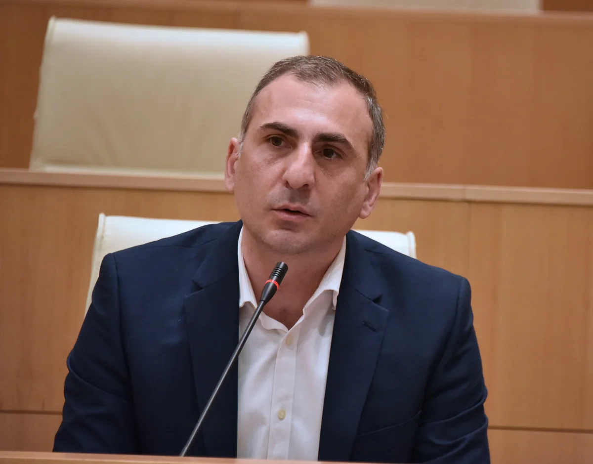 Gürcüstan prokurorluğu müxalifətçi Elisaşviliyə qarşı ittiham irəli sürüb