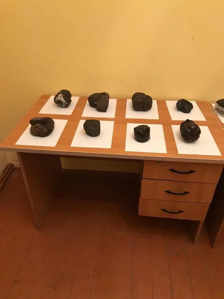 İrandan Azərbaycana külli miqdarda narkotik və psixotrop preparatlar keçirilməsinin qarşısı alınıb
