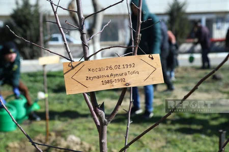 Xocalı soyqırımının qurbanı olan uşaqların xatirəsinə Bakıda 63 ağac əkilib