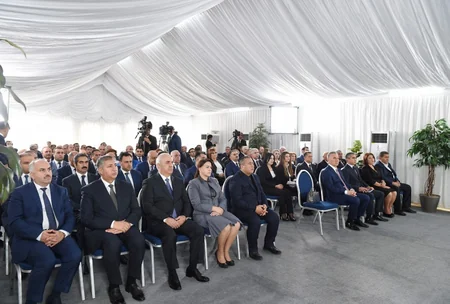 Birinci vitse-prezident: Azərbaycan bu gün inkişaf və tərəqqi yolu ilə gedir